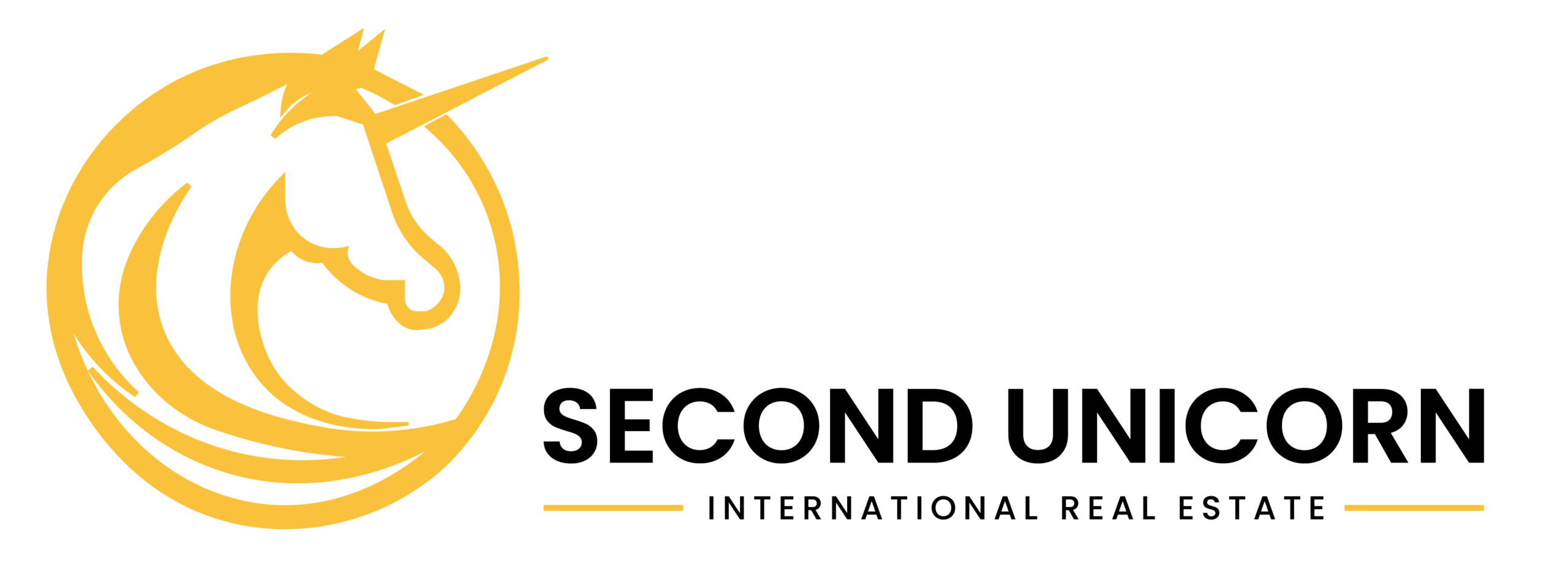 Second Unicorn International